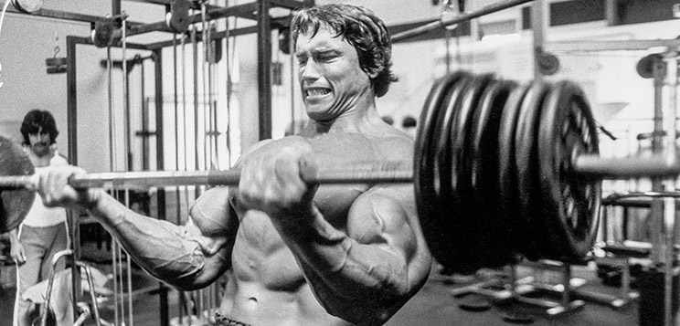 German Volume Training: The Next Level Of Muscle Growth