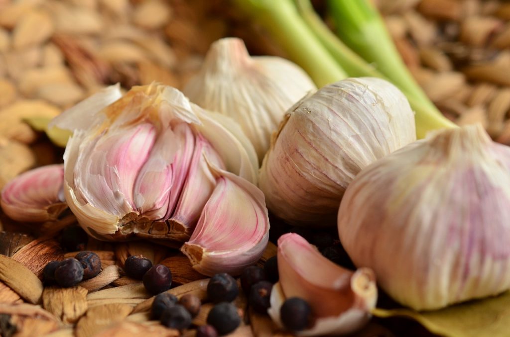 garlic health benefits
