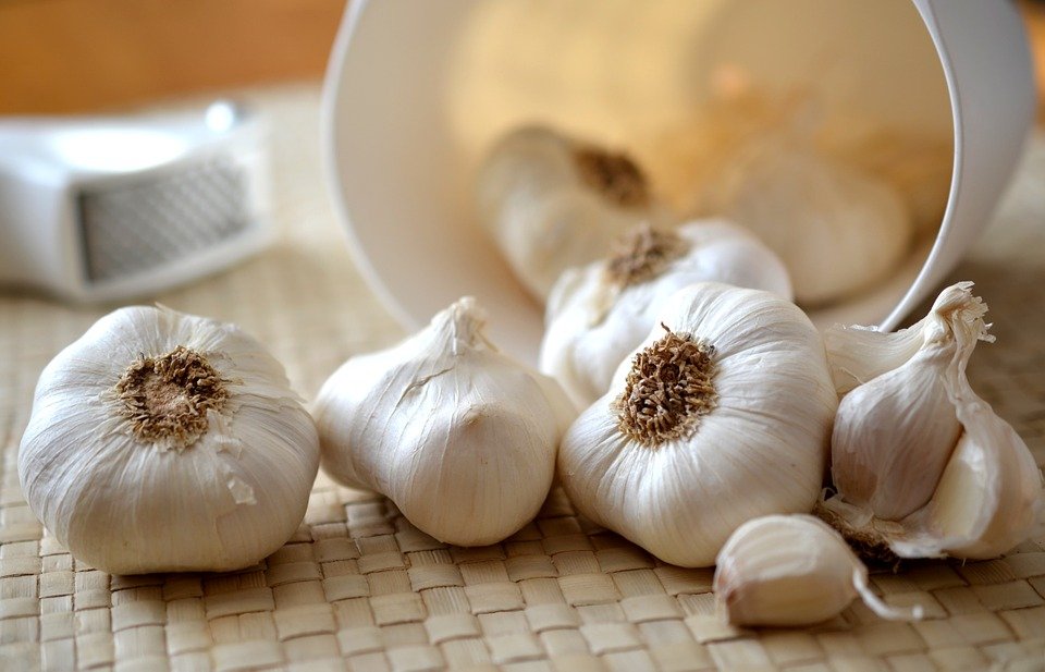 Garlic Health Benefits – The Powerful 12 Days Garlic Remedy