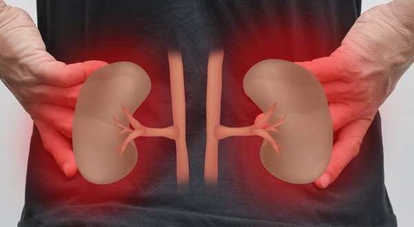 How to save from kidney diseases