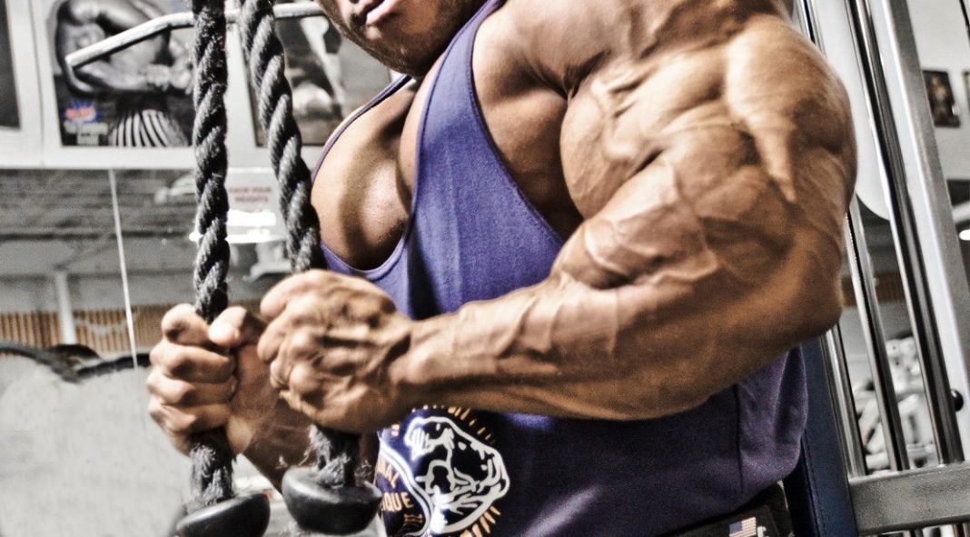 Extreme Muscle Performance Negatives For Extreme Muscle Building And Strength Gains