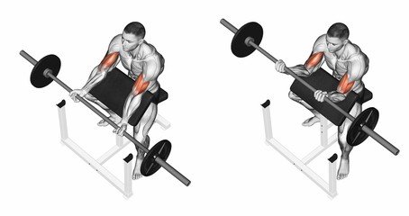 Preacher Curl Machine.