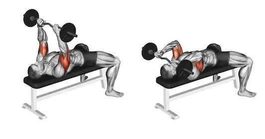 Triceps Press.