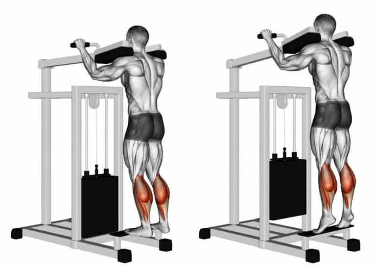 standing-calf-raise