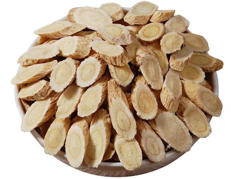 Astragalus Benefits The Herb That Cures Any Disease