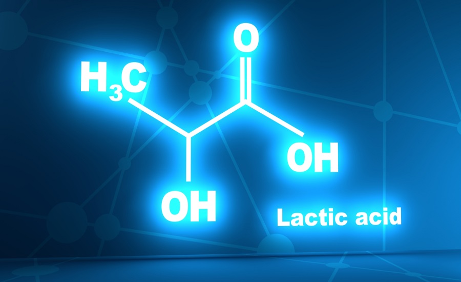 Lactic Acid – What Is Lactic Acid And Why Does It build Up in Muscles?
