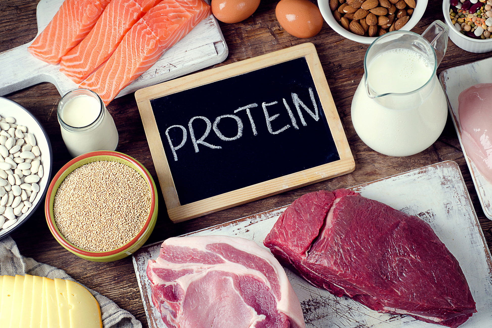 protein for bodybuilders